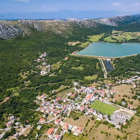 Lavandula * Tribalj (Primorsko-Goranska)